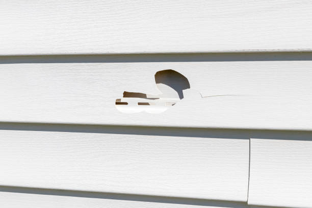 Best Historical Building Siding Restoration  in Auburn, WA