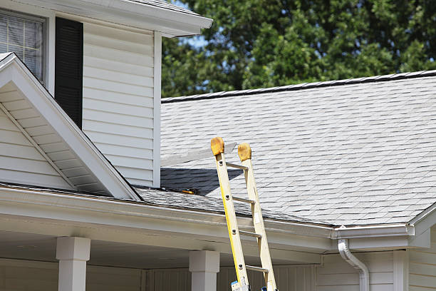Best Residential Vinyl Siding Installation  in Auburn, WA