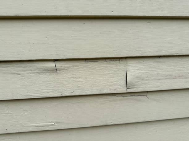  Auburn, WA Siding Installation Pros